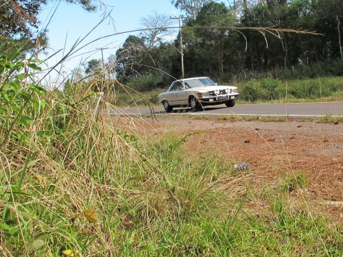 XVI Rally da Serra